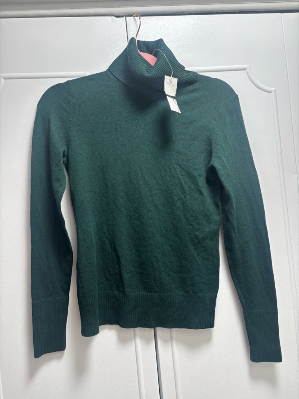 Banana Republic Dark Green Turtleneck Sweater
